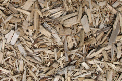 biomass boilers Ardaneaskan