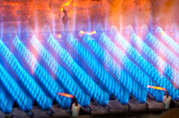 Ardaneaskan gas fired boilers